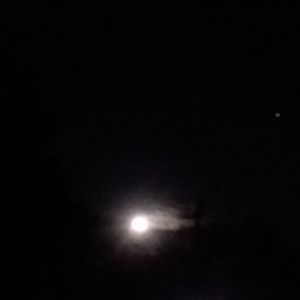 Meet your Posher, Deborah